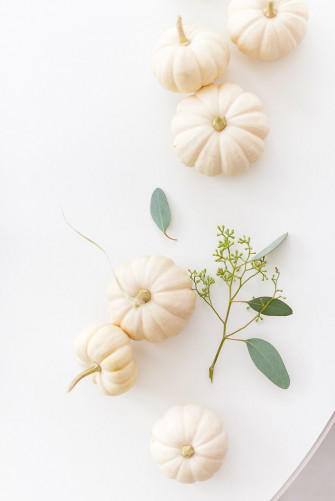 White Pumpkins Pumpkin Wallpaper Thanksgiving