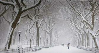 Central Park Winter