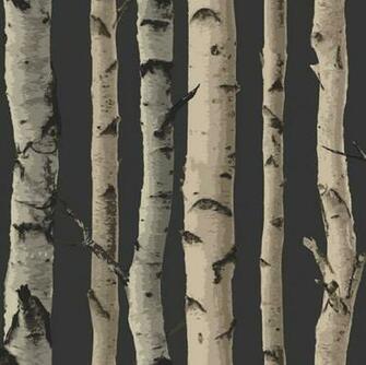 Birch Tree Woods Branches Jungle Forest Print 10m Wallpaper Roll Decor