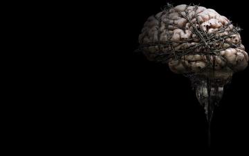 Steam Community Market Listings For The Brain Profile