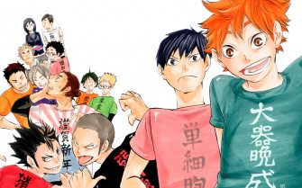 Haikyuu Teams Wallpaper