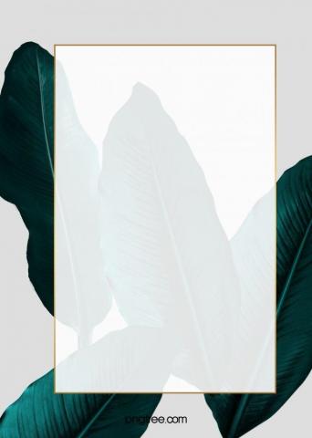 Emerald Golden Border Wedding Background Black Abstract