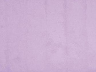 Are You Looking For Solid Purple Photo Wallpaper