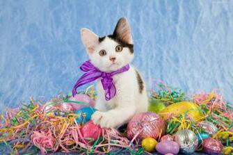 Happy Easter I Love Cats Wallpaper