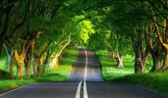 3d Wallpaper55 Best