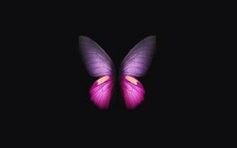 Samsung Galaxy Fold Photo Beautiful Wallpaper