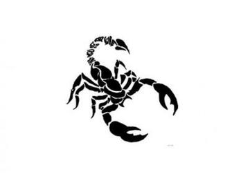 3d Scorpion Tattoos Pictures Design Like Tattoo