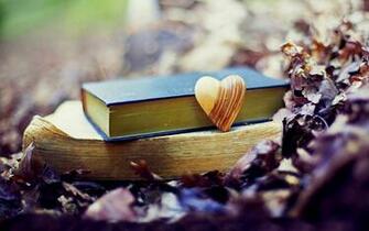 Pics Photos Quotes Fall In Love HD Wallpaper