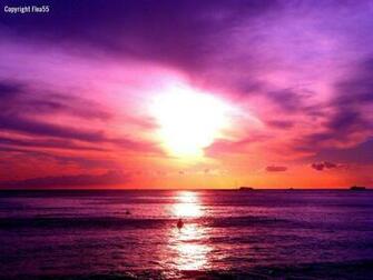 Purple Sunset On The Beach HD Wallpaper In Imageci