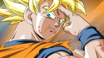 World Goku Wallpaper Damage