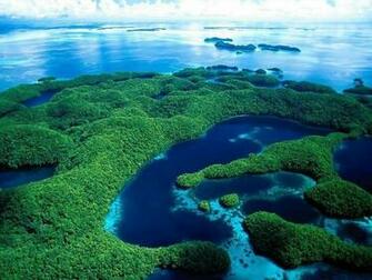 Tropical Island Background
