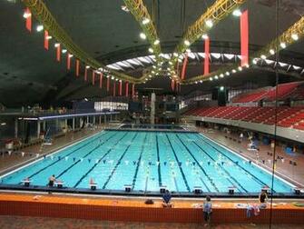 Olympic Swimming Pool HD Wallpaper Funny Jokes Photos