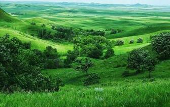 Lush Green Nature HD Desktop Background Image Wallpaper