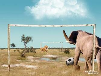 Funny Football Wallpaper
