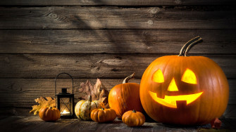Pumpkin Patches Draw Social Media Users For Fall Photos