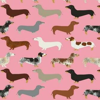 Desktop Weiner Dog Wallpaper Image In Collection