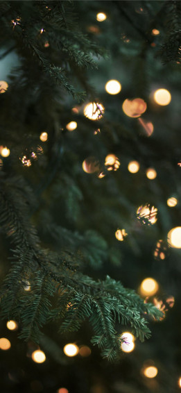 Green Christmas Tree With String Lights iPhone Wallpaper