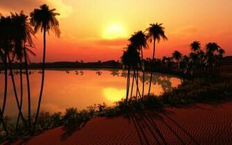 Oasis Sunset With Palm Trees Desktop Wallpaper