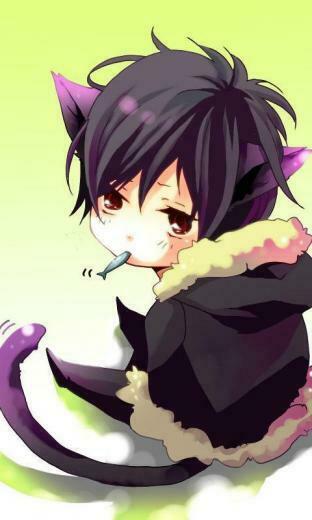 Anime Neko Guy Wallpaper Kawaii And