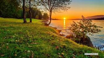 Beautiful Morning Nature HD Wallpaper