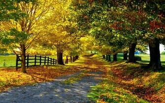 Park On A Sunny Day Wallpaper 3d For Desktop Pictures