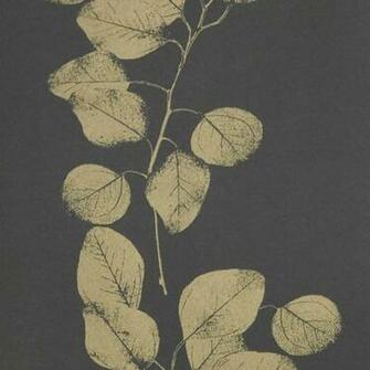 Jocelyn Warner Wallpaper Leaf Black Gold