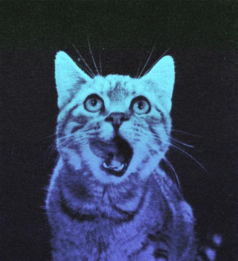 Trippy Cat Kitty Drugs Acid Weed Skunk