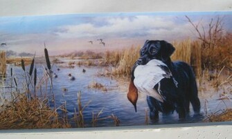 Labrador Retriever Dogs Duck Hunting Wallpaper Border