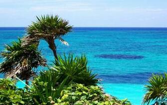 Desktop Background For Spring Coast