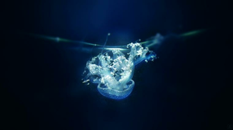 Badass Skull Wallpaper Widescreen Deviantart More Like In