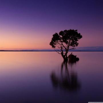 Calming Phone Wallpaper Posted By Samantha Simpson