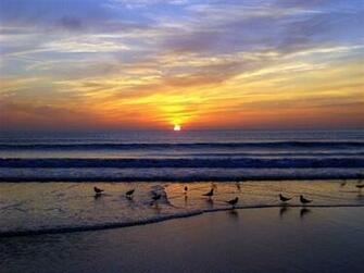 On Myrtle Beach Wallpaper This Background Website