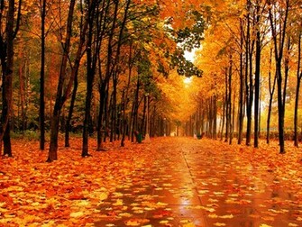 Fall Wallpaper Desktop