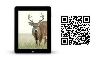 Mossy Oak Wallpaper