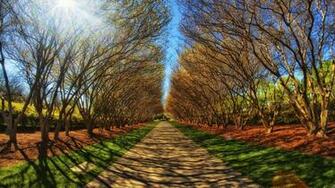 Cool Sidewalk Wallpaper