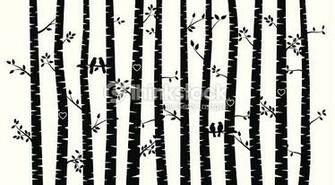 Black And White Vector Birch Tree Silhouette Background With Birds