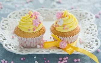Cupcake Computer Wallpaper Desktop Background Id