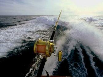 Sport Fish Wallpaper Top Background