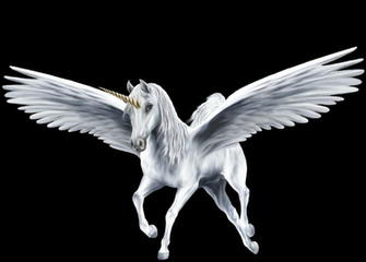 An Beautiful White Winged Unicorn Unicorns Fan Art