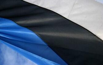 Flag Of Estonia Wallpaper Dodowallpaper