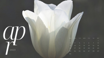 And Customizable Floral Desktop Wallpaper Templates