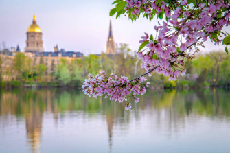 University Of Notre Dame Wallpaper