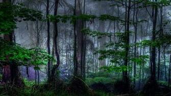Trippy Forest Wallpaper