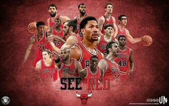 Chicago Bulls Wallpaper HD