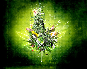 Gratis Wallpaper Marihuana Ganja