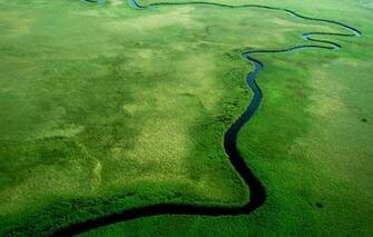 Wallpaper Windows River Jungle Landscapes