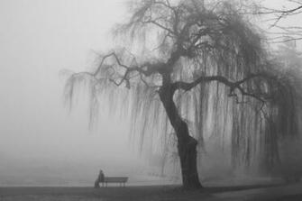 Best Depressive Wallpaper
