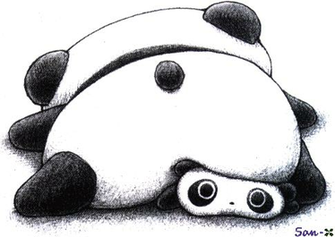 Tarepanda Image Wallpaper And Background Photos