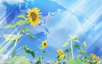 Most Popular Nature Wallpaper Full HD Pictures