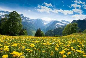 Spring Alps Wallpaper HD